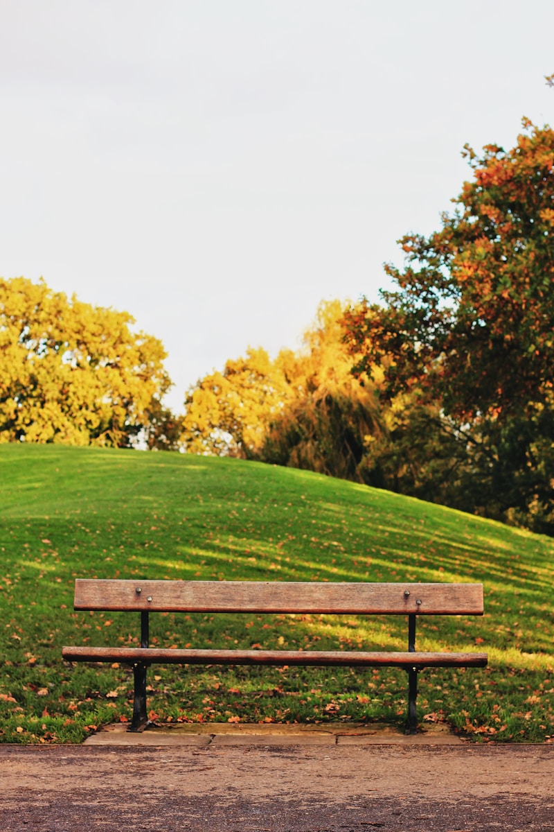 brown wooden bench